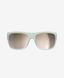 Очки POC Want,Apophyllite Green (PC WANT70121576BSM1)