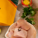 Рис с курицей, фруктами и яйцом SubliMate (4820303400019)