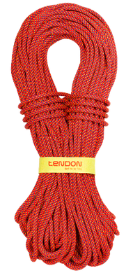 Динамічна мотузка Tendon Alpine 7.9 STD, Red, 50м (TND D079TL41S050C)