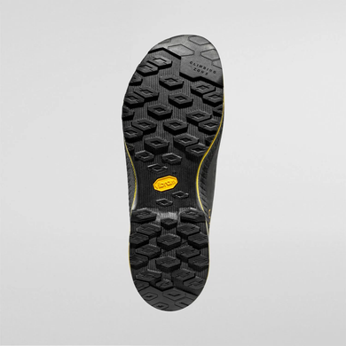 Черевики La Sportiva TX4 Evo Mid GTX, Carbon/Bamboo, 42 (LS ZFAS047G00E35 42)