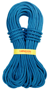 Динамічна мотузка Tendon Ambition 10.0 CS 60 м (TND D100TA42C060C)