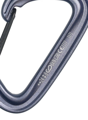 Карабін Black Diamond LiteWire, Grey, р. (BD 210234.1003)
