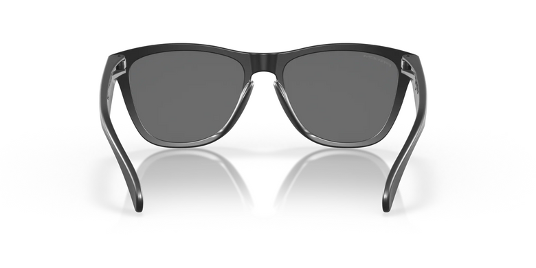 Очки Oakley Frogskin Matte Black/Prizm Black Polarized (OAK 9013-F755)