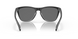 Очки Oakley Frogskin Matte Black/Prizm Black Polarized (OAK 9013-F755)