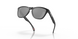 Очки Oakley Frogskin Matte Black/Prizm Black Polarized (OAK 9013-F755)