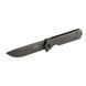 Нож складной Ganzo Firebird FH13SS, Black (GNZ FH13-SS)