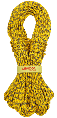 Динамічна мотузка Tendon Ambition 8.5 STD 50 м (TND D085TB41S050C)