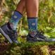 Носки женские Smartwool Women's Trail Run Targeted Cushion Mountain Print Crew, Twilight Blue, S (SW SW002698.G74-S)