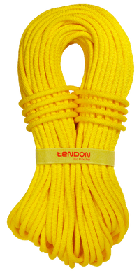 Динамічна мотузка Tendon Ambition 9.8 CS 50 м (TND D098TR48C050C)
