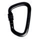 Карабін Singing Rock D Steel Lock Screw Gate, 50kN, Black (8595033365124)